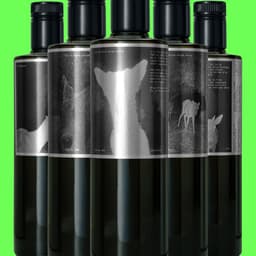 Packaging Design For D'arbequina Olive Oil cover image