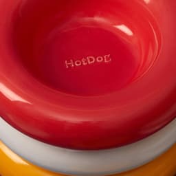 Brand Identity For Hotdog Lifestyle Pet Accessories cover image