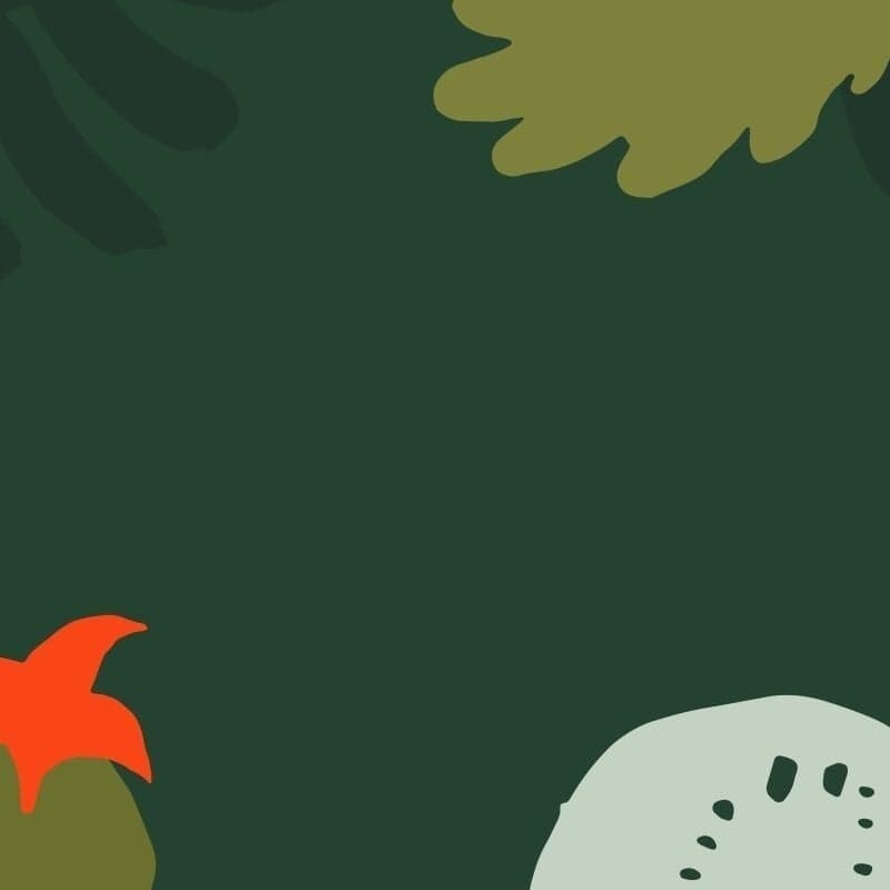 Website Redesign For Chobani