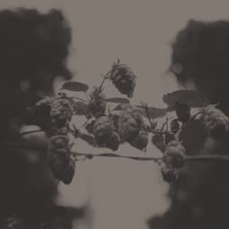 Digital Publication Design For Pitchfork’s October cover image