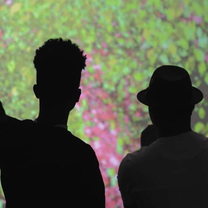 Interactive Installation For The New School