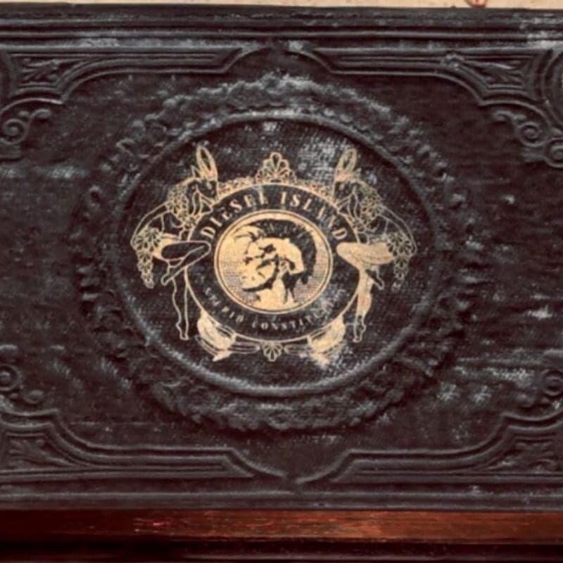 Interactive Campaign For Diesel Island Fw11