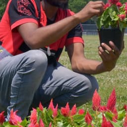 Activist Installation For Human Rights Watch cover image