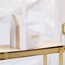 Holiday Campaign Production For Chloé Atelier cover image