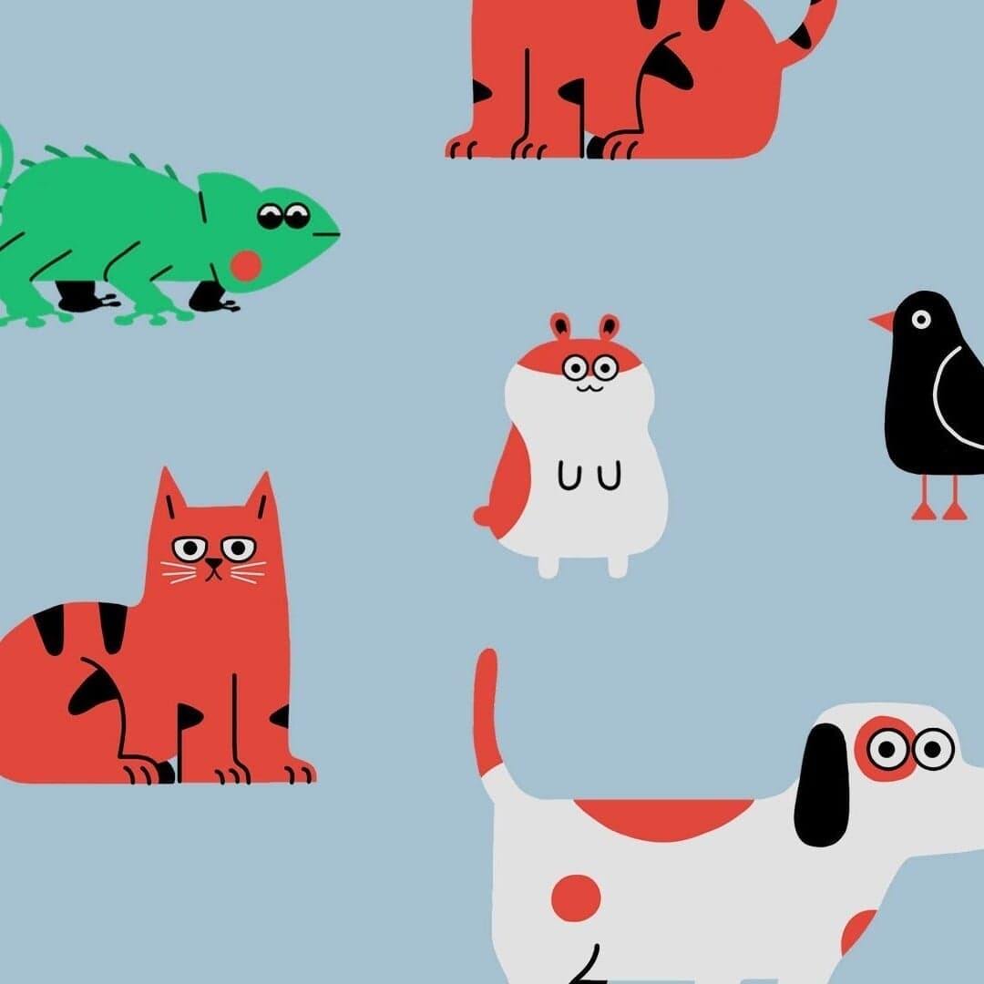 Interactive Web Experience For Spotify For Pets