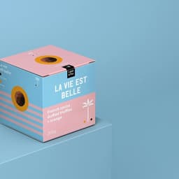 Packaging Design For Lapp & Fao - thumbnail 1