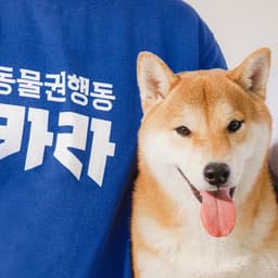 Brand Identity for Korea Animal Rights Advocates cover image