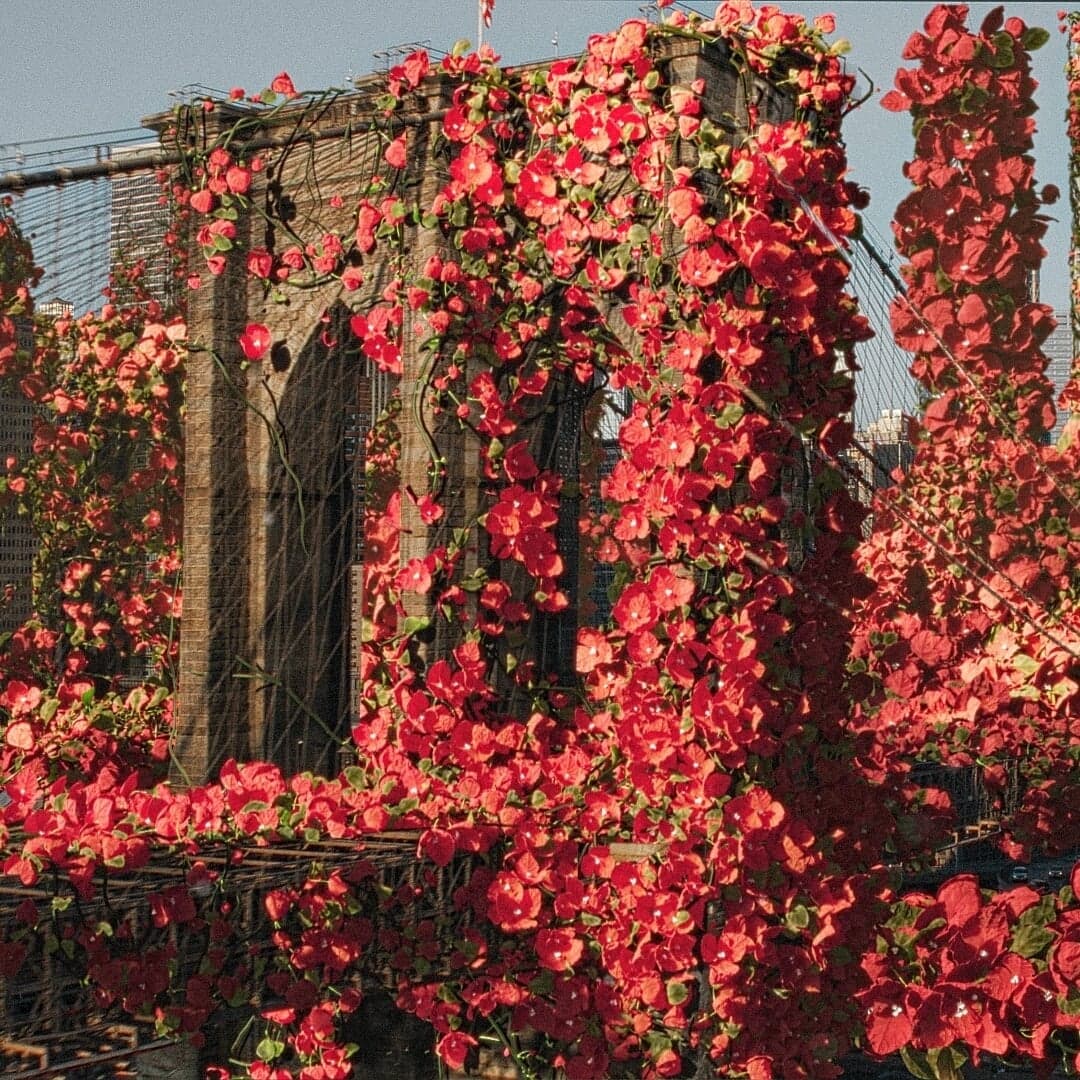 Motion Design For Michael Kors Spring Summer 2023 Campaign