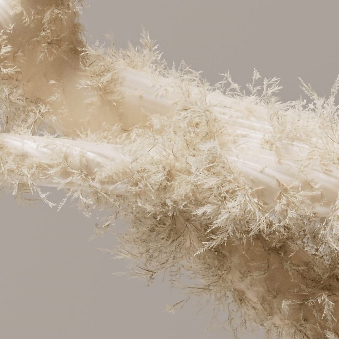 Motion Announcement For Tactyc Studio