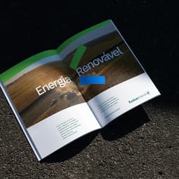 Brand Identity For Evolua Etanol cover image