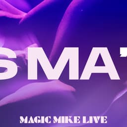 Brand Identity for Magic Mike Live - thumbnail 1