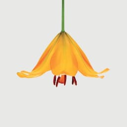 Visual Identity For Garden Lighting Company cover image