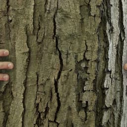 Environmental Campaign For Gavin Martin Colournet cover image