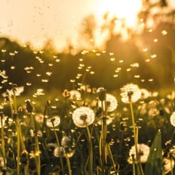 Brand Identity And Website Redesign For Time Investments cover image