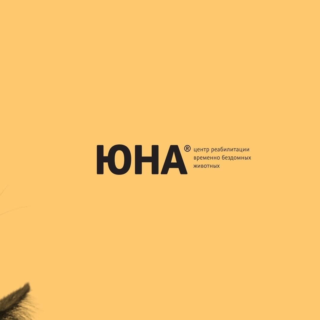 Yuna Branding