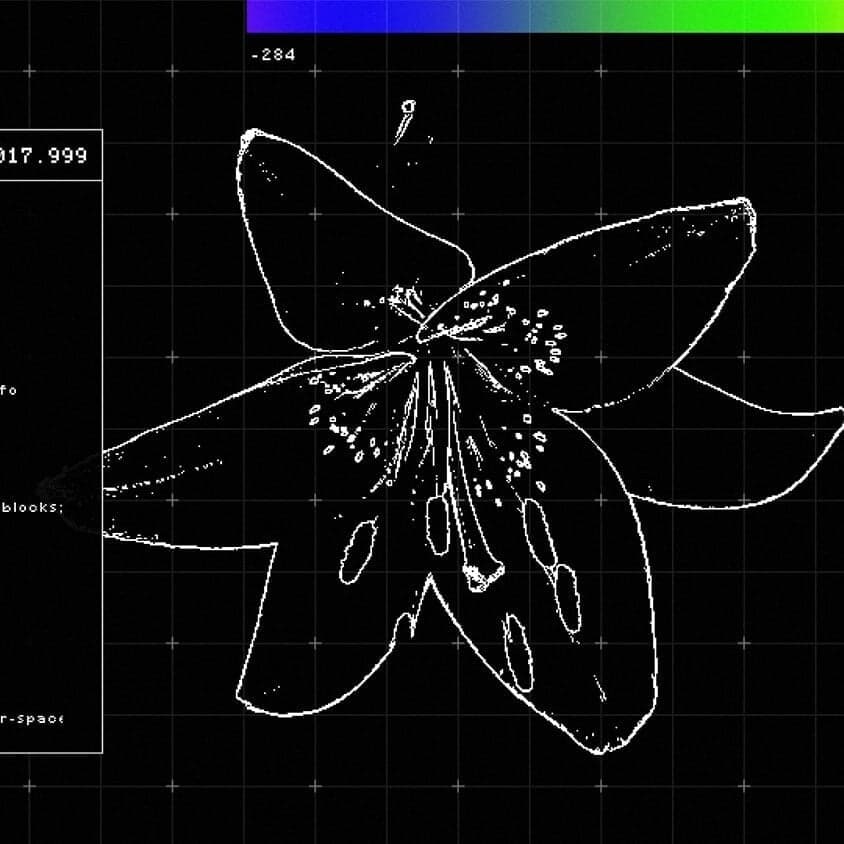 Visual Identity For Dekmantel 2016