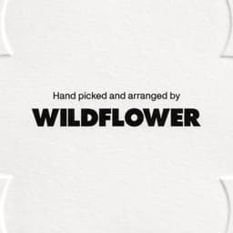 Brand Identity For Wildflower Cannabis Dispensary cover image