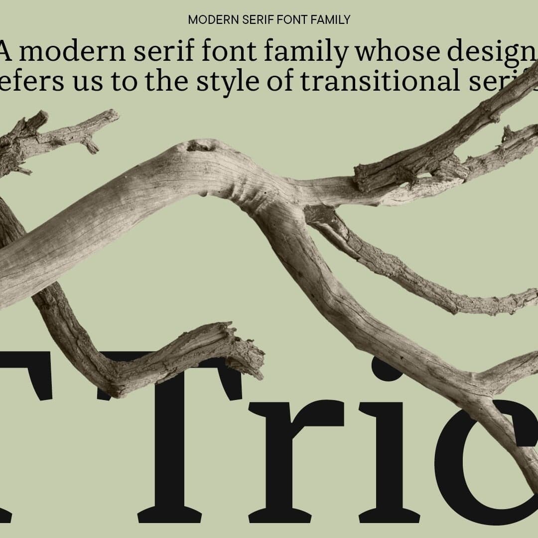 Typeface Design For Tt Tricks