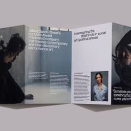 Website And Brand Identity For Jaberi Dance Theatre cover image