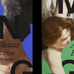 Visual Identity For Musei Nazionali Di Genova cover image