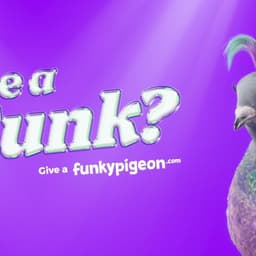 Brand Campaign For Funky Pigeon - thumbnail 1