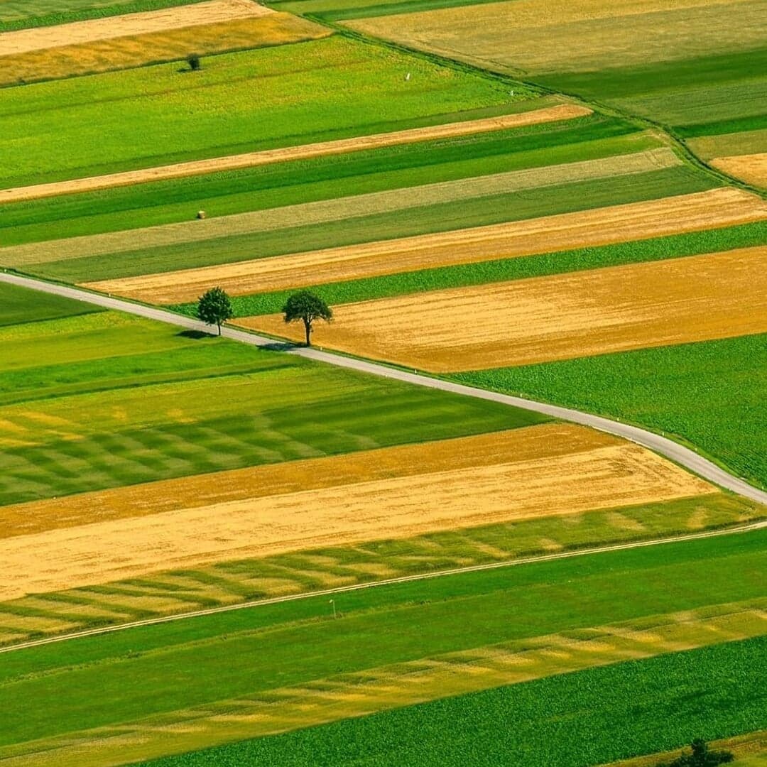 Brand Identity For Repino Park Residential Development