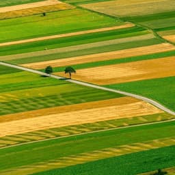 Brand Identity For Repino Park Residential Development cover image