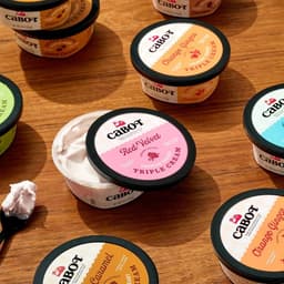 Packaging Design For Cabot Triple Cream Yogurt cover image