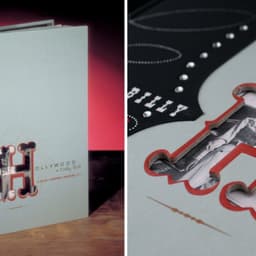 Brand Identity For Hillbilly Hollywood cover image