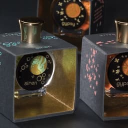 Brand Identity For Siren And Gypsy cover image