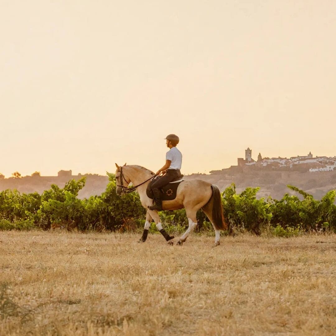 Brand Identity And Digital Experience For São Lourenço Do Barrocal