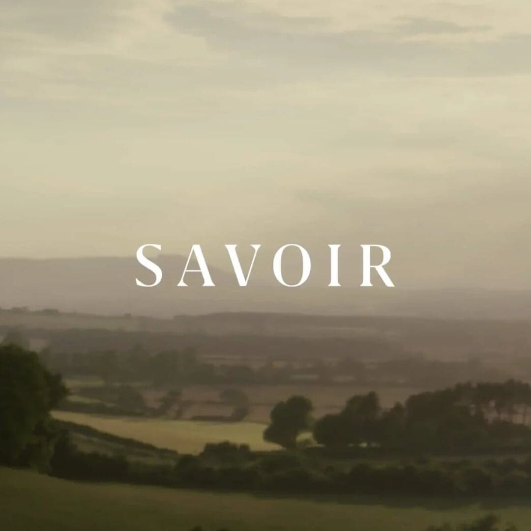 Digital Rebrand And Ecommerce Design For Savoir