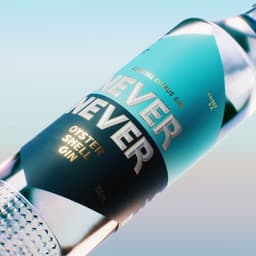 Packaging Redesign For Never Never Gin cover image