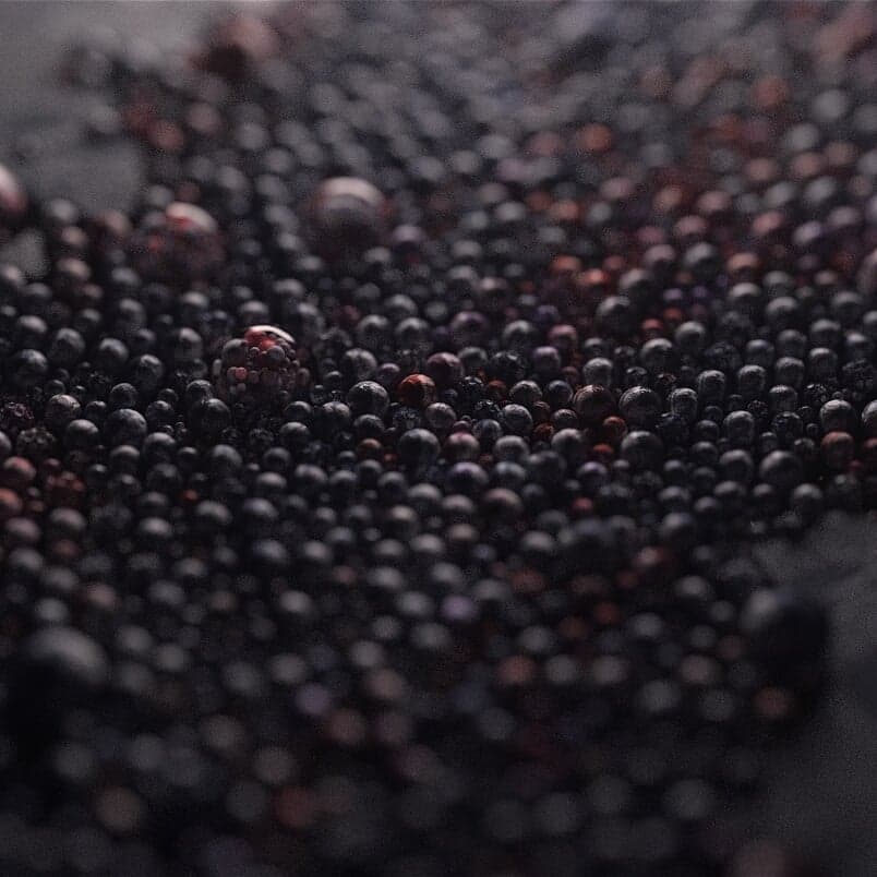 Experimental Motion Design For Flow/er Visual Poem