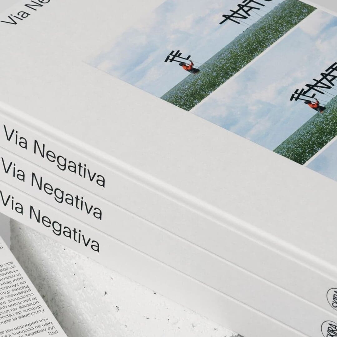 Rero Via Negativa - Skira