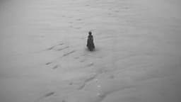 Digital Platform For Alaïa - thumbnail 8