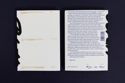 Graphic design for a monograph by an architecture studio - thumbnail 3