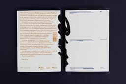Graphic design for a monograph by an architecture studio - thumbnail 5