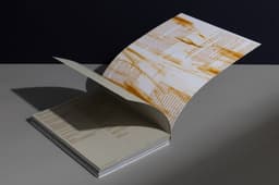 Graphic design for a monograph by an architecture studio - thumbnail 7