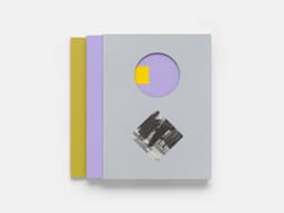 Exhibition Catalogue for Carol Bove - thumbnail 5