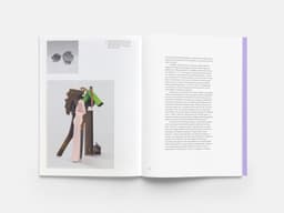 Exhibition Catalogue for Carol Bove - thumbnail 6