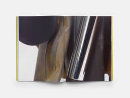 Exhibition Catalogue for Carol Bove - thumbnail 7