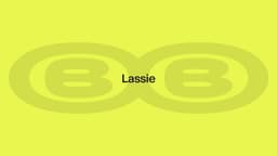 Brand And Digital Relaunch For Lassie - thumbnail 2