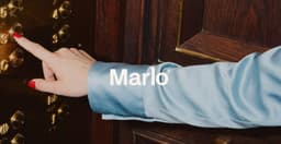 Brand Identity and Website for Marlo - thumbnail 2
