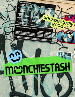 Brand Identity and Website for Munchie Stash - thumbnail 9