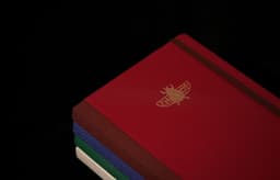 Exhibition Merchandise for Cartier & Women - thumbnail 4
