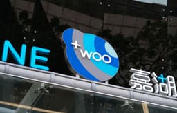 Brand Revamp for +WOO - thumbnail 4