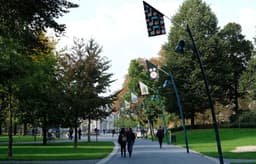 Flag Installation for Graphic Matters Festival - thumbnail 9