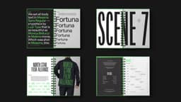 Brand Identity For North Star Film Alliance - thumbnail 4