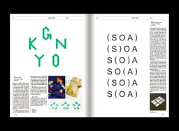 Editorial Design for GRAPHIC #45 — Logo Now - thumbnail 5